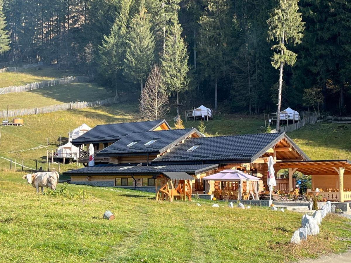 Pensiunea Mireasma Bucovinei Crucea Bagian luar foto