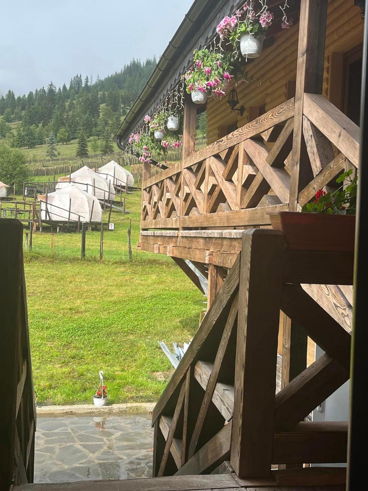 Pensiunea Mireasma Bucovinei Crucea Bagian luar foto