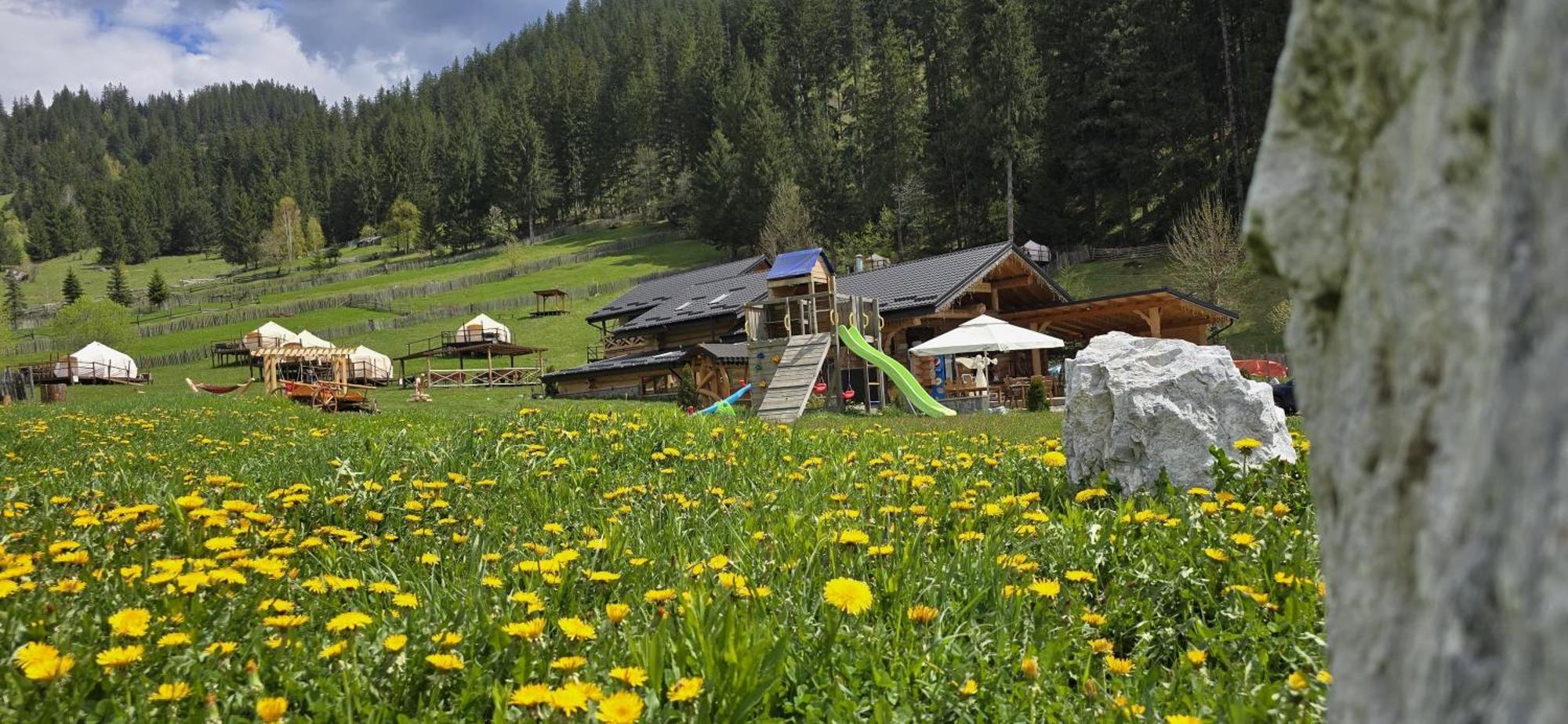 Pensiunea Mireasma Bucovinei Crucea Bagian luar foto